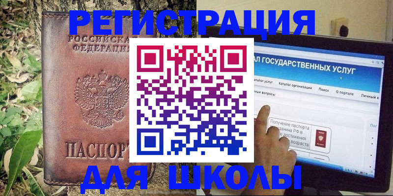 прописка для школы в Мурманской области